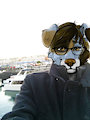 C: Cold Day for a Boat Ride