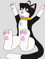 Tuxedo Cat by KuronekoHirano