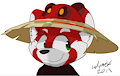 Hat panda