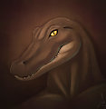 Gator portrait by kaimana