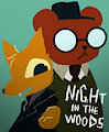 Night in the woods