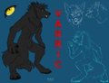 Varric Lonewolf Character Sheet