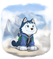 Mountaineer Husky by DiacordST