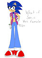 What If Sonic Was Female? by RoxasTheCat