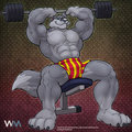 Serious Fitness Wolf by Cooner, colored by Wuffamute by CashewLou