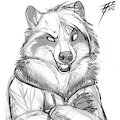 Raccoon Sketch Commission
