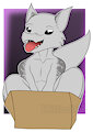 Wolf-Bold in a Box by Killmite