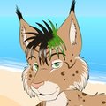 Lynx Beach - Commission for Lunatik