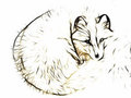 Fractal Arctic Fox by samsungroo