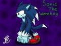 Sonic TW by Sonicth62