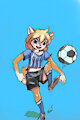 Soccer Shiba by AnikoRose