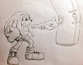 Knuckles at the Gym by sircharles