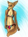 Swimwear Bear [Male Fennec] by luckynumbers