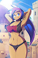 ☕Drive #2 - Shantae by FreakyEd