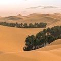 Saharan Nights  by 40ozhyena