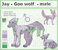 Jay The Goo Wolf Ref Sheet by VivianFaberfox