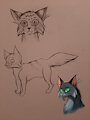 Thistlepelt sketches by BlooSnoot