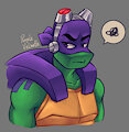 ROTTMNT Don to practice
