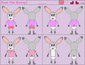 Rose Bunny (ConejoBlanco) Model Sheet