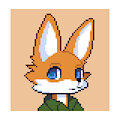 Blink Fox by jamesfoxbr