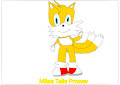 Miles “Tails” Prower by LiamTrollslover