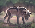 Wolf speedpaint 2