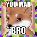 you mad bro by Inu1990x