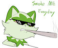 Smoke Me Everyday by SteelCat