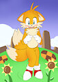 Tails by Littlecat