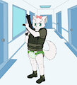 Tactical Diapered Cat