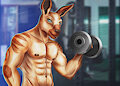 Kangaroo anthro at the gym by AnastasRadonski