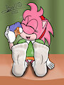 Classic Amy Rose - Socks/Feet by tidmouth