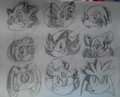 Sonic Character Drawing by yoshiwoshipower99