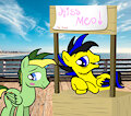 (Collab) the kissing booth on the beach of PonySeb 2.0 by Didgeree
