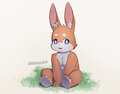 兔兔 by norphen