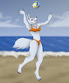 Volleyball Wolf by Rahir