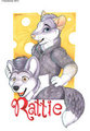 Rattie goes suiting! by Kashmere