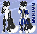 Nathan New Ref by JustTaylor