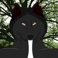 Kale ShadowWalker - The Werewolf 
