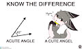 acute angle