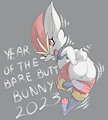 Year of the Bunny by LKIWS