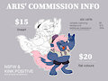 COMMISSION PRICES by Aristide