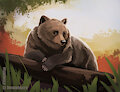 Bear speedpaint by WerewolfDegenerate