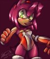 Amy Rose by soina