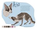 Commission - Aries Reference Sheet by LostWolfSpirit
