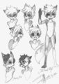 Tycloud Concept Art, with another fox by Tycloud