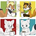 Coffee Fox Gallery