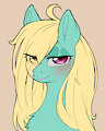 Zephyr Mane