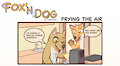 Fox'n Dog Frying the air by TheRaPitoR