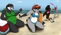 Beach Bums 2! by DatBadger